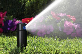 Pop Up Rotor Sprinklers